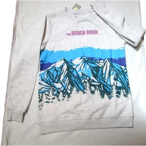 The Beach Boys Women's Graphic Sweatshirt Size XS Gray Licensed Band Merch - Picture 1 of 6