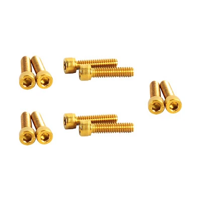 10 pernos de cubierta de árbol de levas dorados 1/4"-20 *1,0 para Harley Touing Road Glide FLHR  Foto 1 de 4