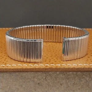 17.2mm Long 10K White Gold-Filled Long Speidel Thinline Vintage Watch Band - Picture 1 of 8