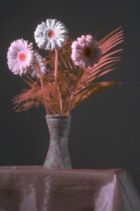 Infrared IR720 or fullspectrum conversion service for digital camera - Picture 1 of 12