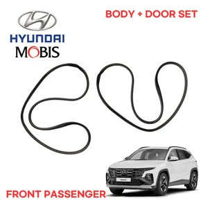 HYUNDAI TUCSON NX4 DOOR WEATHERSTRIP SEALS FRONT PASSENGER 82120N9000 82140N9000 - Picture 1 of 3