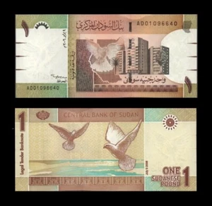 Sudan 1 Pound 2006 P64 UNC - Picture 1 of 1