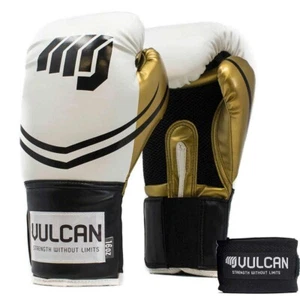 16oz Boxing Gloves & Hand Wraps Sparring Heavy Bag Workout VULCAN FREE Gift - Picture 1 of 16