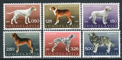 1390 - Yugoslavia 1970 - Dogs - MNH Set - Michel:1390/5 - Image 1 of 2