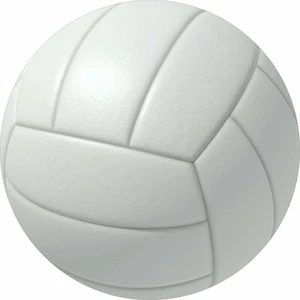 Volleyball Sports Spare Tire Cover All Sizes Available-back up camera option - Bild 1 von 5