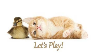Kitten & Duckling Shirt. Let's Play!  Sweet Cuddly Friends... awww LOOK How Cute - Bild 1 von 1