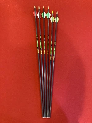 6 - Gold Tip Hunter XT 340  carbon arrows - NEW - Image 1 of 3