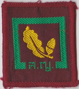 Parche Scout Tailandia Senior Scout Competencia (Mérito) Insignia (B) - Imagen 1 de 2