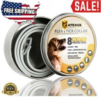 leoffy flea collar