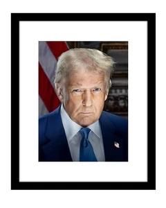 DONALD TRUMP new official Portrait 8x10 photo print 47th president - Afbeelding 1 van 3