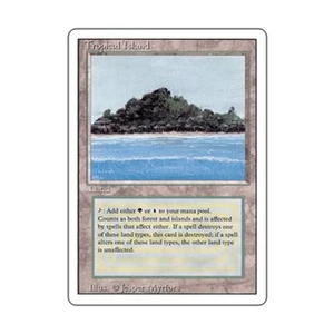 WOTC MtG 3rd Ed Tropical Island (R) EX- - Picture 1 of 1
