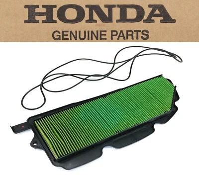 Elemento limpiador de filtro de aire OEM Honda 16-21 Pioneer 1000 SXS 1000 #P241 Foto 1 de 4