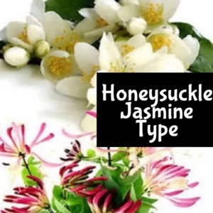 JASMINE & HONEYSUCKLE Perfume Body Splash Scrub Lotion Fragrance Bath Hair Oil - Picture 1 of 10