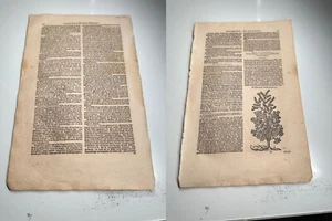 1 página de Cruydt Boeck Remberti Dodonaei / Rembert Dodoens Botanical 1644 - Imagen 1 de 4