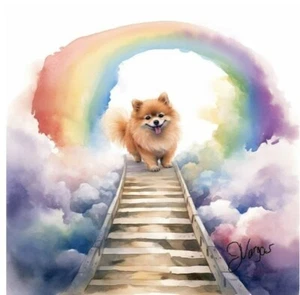 Watercolor Pomeranian Pet Memorial Gift Painting Art Print INCLUDES 11X14 MAT - Picture 1 of 2