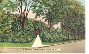 University of Vermont Campus Burlington VT Linen Postcard Not Post Marked-25 - Picture 1 of 2
