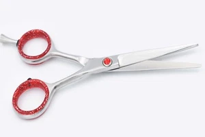 High-Quality 6'' Hair Cutting & Thinning Scissors – Barber Salon Shears - Picture 1 of 3
