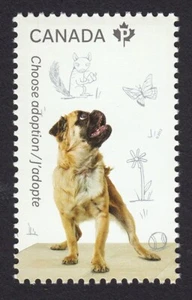 qq. BULLDOG, DOG = stamp from Souvenir Sheet ADOPT A PET MNH Canada 2013 # 2636c - Picture 1 of 1