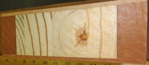 Tablero de madera de caoba muestra 5" x 5" x 1-3/4" espesor "A" dimensión multinúcleo - Imagen 1 de 3