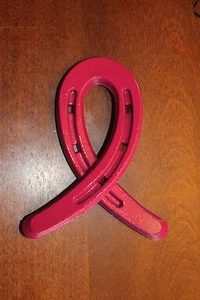 Horseshoe awareness ribbon - Picture 1 of 4