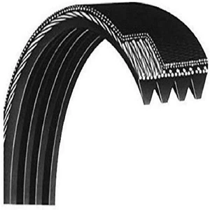 SciFit ISO1000R Stationary Bike Poly V Drive Belt 61" (1549J) 6 RIB P4560 - Picture 1 of 2