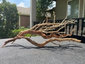 BRANCHY/SPIDER WOOD AQUARIUMS FISH RIPTILES DECORATION PET SUPPLIES ART GARDEN - Picture 1 of 3