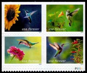 Briefmarken USA 2024 SC#5845-5848 Garden Delights Forever Stamps, 4er Block Briefmarken - Bild 1 von 1