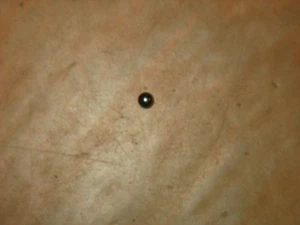 78 HONDA CB400T II LOWER BOTTOM STEERING BALL BEARINGS - Picture 1 of 2