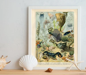 Larousse Deep Sea Creatures Lobster Seahorse Horseshoe Crab Jellyfish Ocean Life - Picture 1 of 5