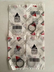4 PACK - AGCO SEGMENT 4306180M1 - Picture 1 of 3