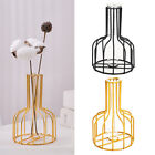 Hydroponic Flower Vase Glasses Test Tube Iron Art Vase Geometric Line Frame