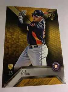 2016 Topps Triple Threads Jumbo 5x7 A.J. Reed Astros RC 45 #’d 02/10 Gold - Picture 1 of 1