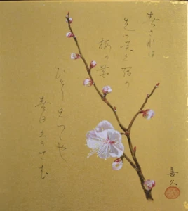 JAPANESE SHIKISHI HAND PAINTED ART BOARD CHERRY BLOSSOMS AND POEM ON GOLD - Picture 1 of 6