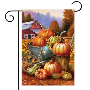 Briarwood Lane Pumpkin Farm Fall Garden Flag - Picture 1 of 4