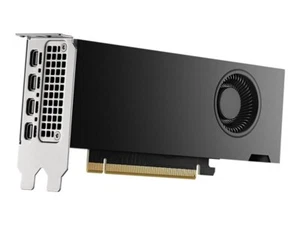 NVIDIA RTX 2000 ADA 16GB GDDR6 PCIe 4.0 x8 Full/Half Height Brackets Graphics - Bild 1 von 5