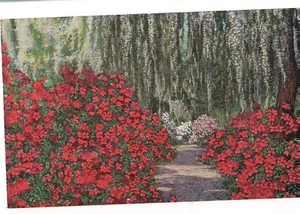 Red Azaleas Scene BONAVENTURE Spanish Moss Savannah Georgia  Postcard GA Linen - Picture 1 of 2