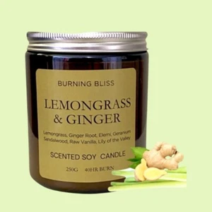 LEMONGRASS & GINGER HIGHLY SCENTED NATURAL SOY WAX CANDLE-BOXED- 40HR BURN - Picture 1 of 4