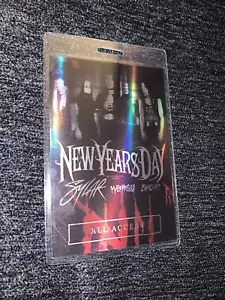 NEUJAHRSTAG ALL ACCESS Backstage Pass - Bild 1 von 11