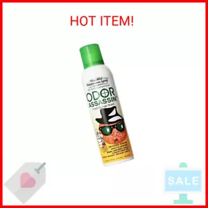 Jay 124947 Odor Assassin, 6 oz, Orange - Picture 1 of 2
