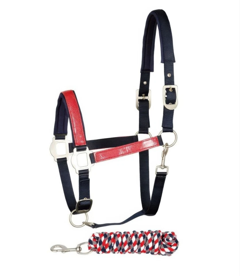 Pferde Halfter Shine mit Glanzpartikeln und Führstrick im Set Shetty Pony Cob - Bild 1 von 1