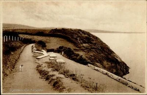 CE3234 marine drive torquay dog england uk - Picture 1 of 2