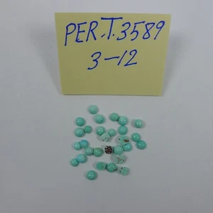 Persischer Türkis 100% Natur 29 runde Form Cabochon 9,64 TCW - Bild 1 von 4