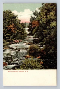 Tarjeta de colección Jackson NH-New Hampshire, Wild Cat River - Imagen 1 de 2