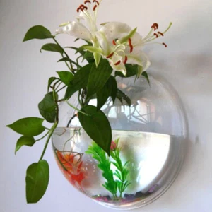Wall-mounted Goldfish Tank Transparent Bowl Aquarium Planter Holder - Picture 1 of 12