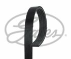 GATES (5PK692SF) V-belt, V-rib belt for Ford Mazda
