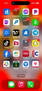 Apple iPhone 14 Pro - 128 GB - Silver (Unlocked) with TIC TOK - Picture 1 of 1