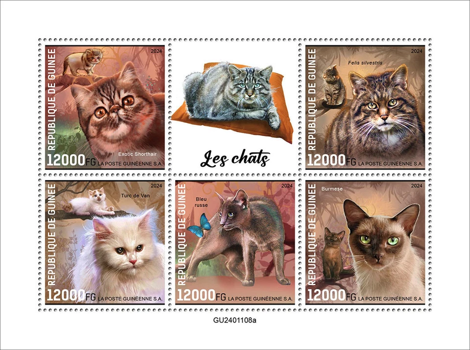 Estampillas exóticas de gatos de pelo corto Felis silvestris furgoneta turca MNH 2024 Guinea M/S Foto 1 de 1