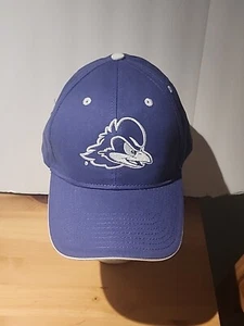 Rare Uni Of Delaware Blue Hens Men’s Adjustable Strapback Hat Fast Ship - Picture 1 of 7