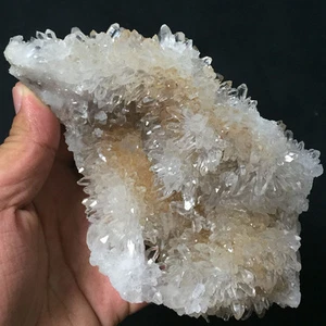 669g Top!!! Natural White Chrysanthemum Quartz Crystal Cluster Specimen ip0024 - Bild 1 von 12