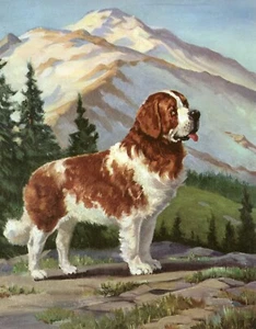 SAINT BERNARD VINTAGE 1950'S WESLEY DENNIS DOG ART PRINT - Foto 1 di 1
